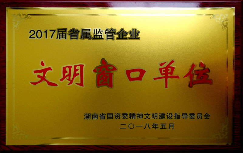 湖南發(fā)展集團養(yǎng)老產業(yè)有限公司榮獲“省屬監(jiān)管企業(yè)文明窗口單位”稱號